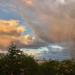 Paul Maestas - @paul_maestas - Instagram