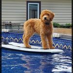 Paul Mailloux - @maillouxpaul - Instagram
