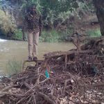 Paul Maingi - @maingi_pm - Instagram