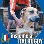 Paul Maingi - @paulmaingi4 - Instagram