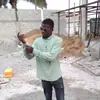 zarko - @malandapaul - TikTok