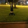 paul males - @paul..males - TikTok