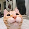 Paúl Males - @pal.males - TikTok