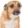 paul_mancillas - @paul_mancillas - TikTok