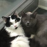 Paul Mandel - @pizz2003.teak27 - Instagram