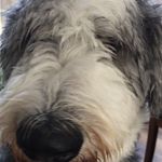 Paul Manes - @paulmanes - Instagram