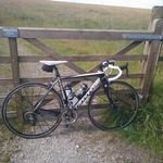 Paul Mannion - @pmannion9 - Instagram