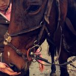 Paul Mannix - @mannix.paul - Instagram
