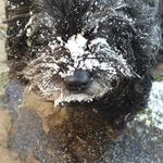 Paul Manship - @manship.paul - Instagram
