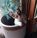 Paul Manzi - Facebook