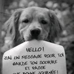 Paul Marc - Facebook