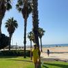 Paul Mare - @.paul.mare - TikTok
