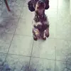 Paula MArgraf - @paulamargrafnargraf - TikTok
