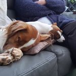 Paul Masson - @paul.masson.7771 - Instagram