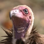 Paul Mates - @p.mates - Instagram