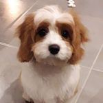 Paul Maton - @maton_paul - Instagram