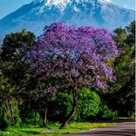 paul matongo - @paul_matongo - Instagram