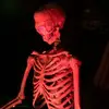 paulmattingly255 - @paulmattingly255 - TikTok