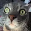 mattisonpaul - @mattison.paul - TikTok