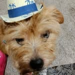 Paula Mattison - @paula.mattison.71 - Instagram