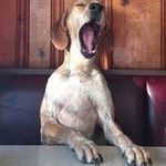 Paul Matzen - @matzenpaul - Instagram