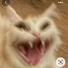 pauli;) - @paul1maus - TikTok