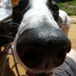 Paul Maxwell - @paulmaxwell445 - Instagram