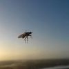 Paul mayeux - @paulmayeux - TikTok
