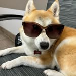 Paul Mazzarolo - @paulmazzarolo - Instagram