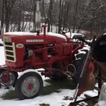 Paul Mazzas Fruits And Veggies - @paulmazzas - Instagram