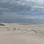 Paul McAleer - @parluni - Instagram