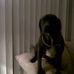 Paul Mccaleb - Facebook