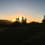 Paula McCaughey - @paulamccaughey - Instagram