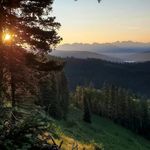 Paul McElwee - @paulmcelwee - Instagram
