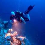 Paul McEwan - @p48lo_85 - Instagram