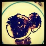 Paul Mcgarrell - @paulmcgarrell - Instagram