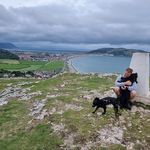 Paul McGuirk - @p_mcguirk - Instagram