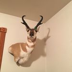 Paul McInerney - @pandamac5959 - Instagram