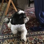Paul McInerney - @paulmac100 - Instagram