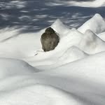 Paul McIsaac - @paulmcisaac - Instagram