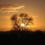 Paul Mcisaac - @buskerpaul - Instagram