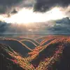 Paul McIsaac - @paul.mcisaac - TikTok