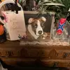 Pauline Mclemore - @pauline.mclemore - TikTok