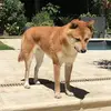 Paul Meche - @paulmeche - TikTok