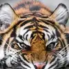 Paul Meche - @paul.meche - TikTok