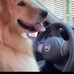 Paulo Meche - Facebook