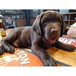 Paul Melbourne - @elitefloorservice - Instagram