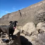 Paul Melling - Facebook