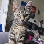 Paul Melling - @mrpaulmelling - Instagram