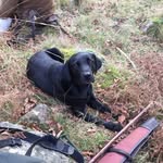 Paul Melling - @melling1961 - Instagram